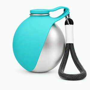 [Scale AI] catalog_packshot, Portable Pet Water Bottle, 10 oz